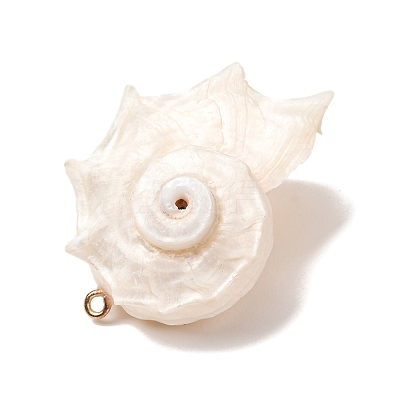 Natural Conch Shell Pendants SH-CBAD3AC-01-1