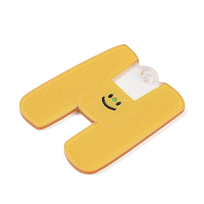 Acrylic Pendants LS-MACR-R002-01H-1