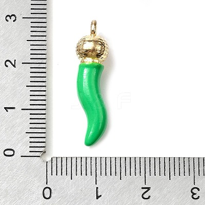 Opaque Resin Pendants RESI-V004-01C-1