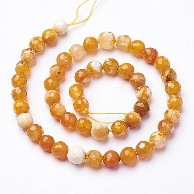 Natural Fire Crackle Agate Beads Strands G-D210-8mm-M2-1