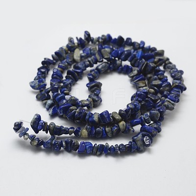 Natural Lapis Lazuli Beads Strands G-F328-21-1