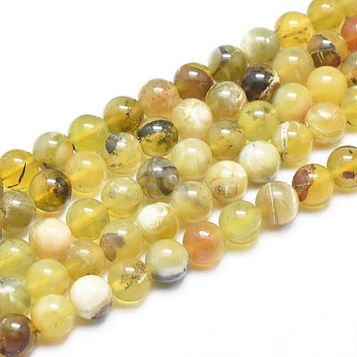 Natural Yellow Opal Round Bead Strands G-M296-02-8mm-1