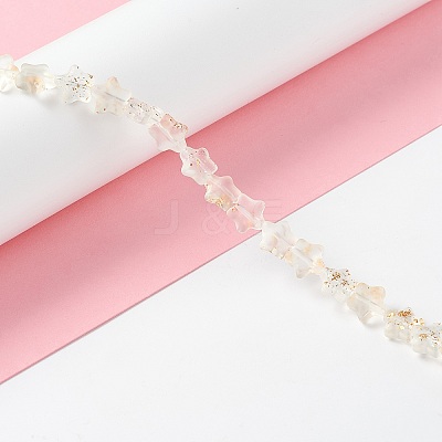 Transparent Glass Beads Strand X1-GLAA-F112-04K-1