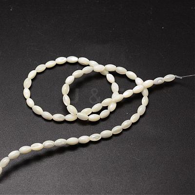 Natural Trochid Shell/Trochus Shell Beads Strands SSHEL-K008-06-1