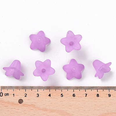 Transparent Acrylic Beads PLF018-04-1