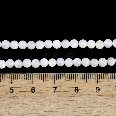 Natural Cultured Freshwater Shell Beads Strands BSHE-H109-03B-1