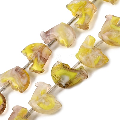 Handmade Lampwork Beads Strands LAMP-G167-01-1