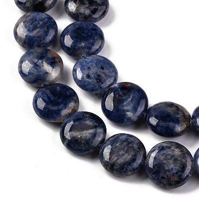 Natural Sodalite Beads Strands G-C159-A09-01-1
