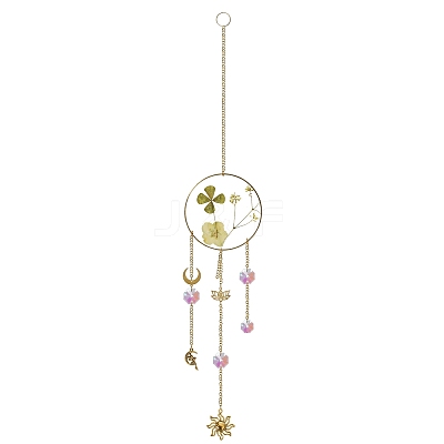 Glass Pendant Decorations PW-WG43887-05-1