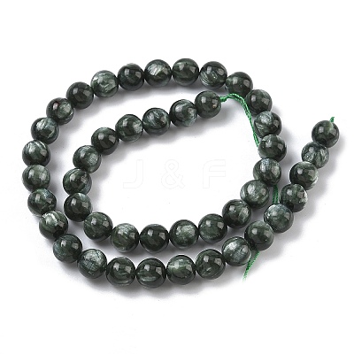 Natural Seraphinite Beads Strands G-C270-O01-07-1