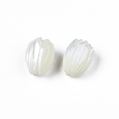 Natural Trochid Shell/Trochus Shell Beads SSHEL-T014-33-1