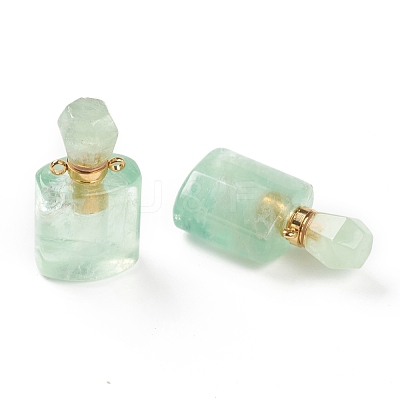 Natural Fluorite Pendants G-H252-E01-1