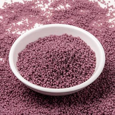 MIYUKI Round Rocailles Beads SEED-JP0010-RR4487-1
