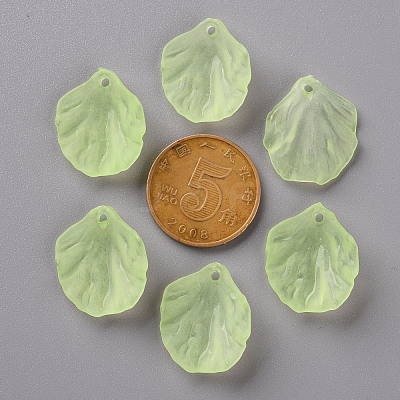 Transparent Frosted Acrylic Pendants MACR-S371-01A-728-1