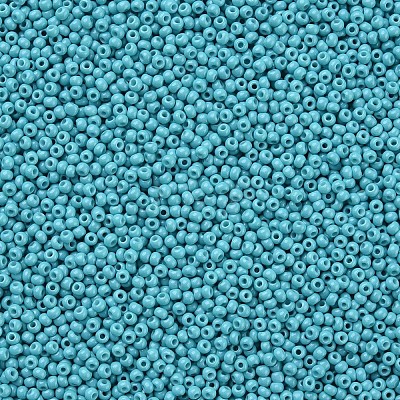 11/0 FGB Grade A Baking Paint Glass Seed Beads X-SEED-N001-A-1016-1