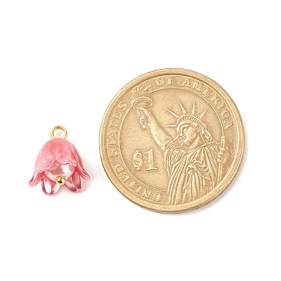 Spray Paint ABS Plastic Imitation Pearl Charms PALLOY-JF01603-03-1