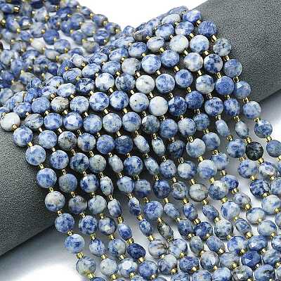 Natural Blue Spot Jasper Beads Strands G-C116-A73-02-1
