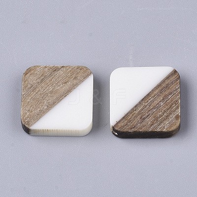 Resin & Walnut Wood Cabochons RESI-S358-A-90G-1