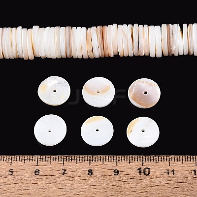 Natural Freshwater Shell Beads Strands SHEL-N037-03B-01-1