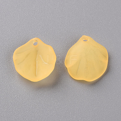 Transparent Frosted Acrylic Pendants MACR-S371-02A-719-1