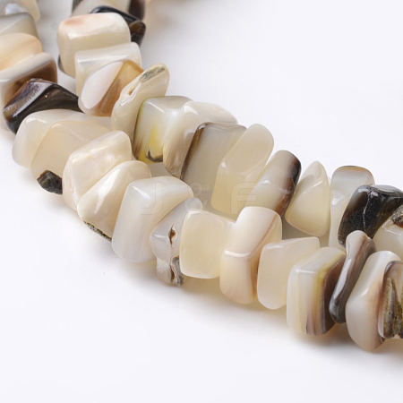 Natural Shell Rectangle Bead Strands X-BSHE-O016-08-1