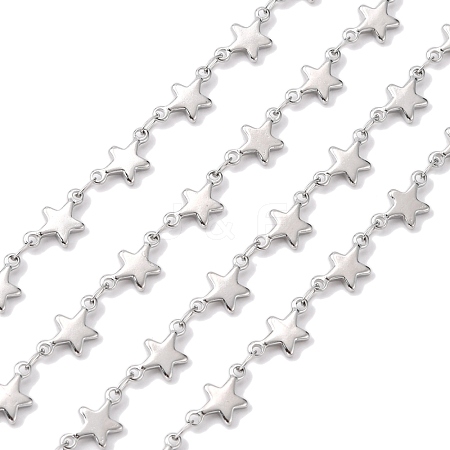 Tarnish Resistant 304 Stainless Steel Decorative Chains CHS-E001-02P-1