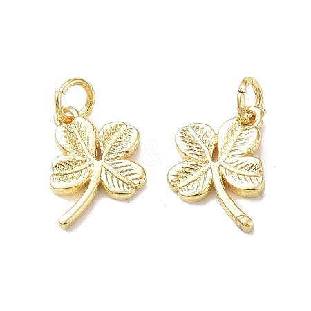 Rack Plating Brass Charms KK-F849-02G-1