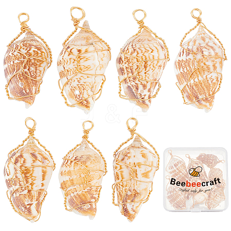10Pcs Natural Conch Shell Big Pendants FIND-BBC0003-11-1