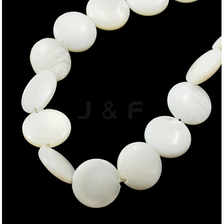 Natural Shell Beads Strands X-PBB-XXBK024Y-13-1