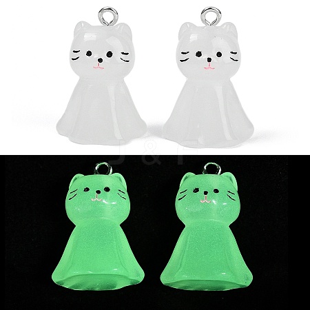 Luminous Resin Pendants RESI-R460-01A-1