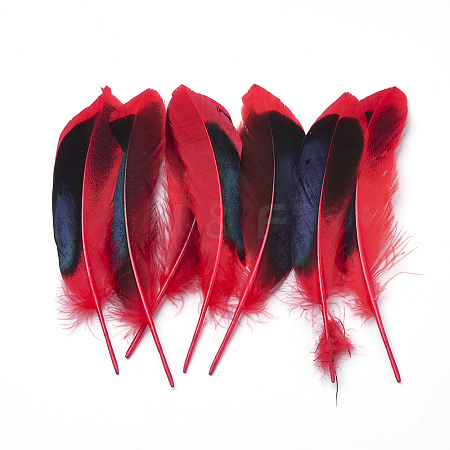 Feather Costume Accessories FIND-Q046-15B-1