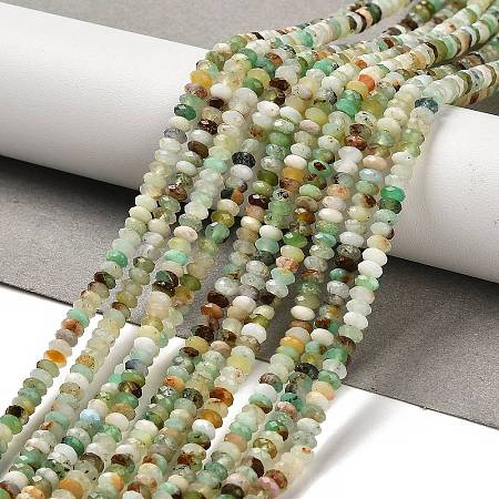 Natural Serpentine Beads Strands G-B107-D05-02-1