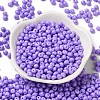 6/0 Opaque Baking Paint Glass Seed Beads X1-SEED-M012-02A-09-2