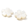 Natural White Shell Carved Beads SSHEL-Z002-02A-2