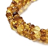 Natural Amber Beads Strands G-L095-L01-01-4