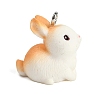 Cute Opaque Resin Pendants LS-RESI-R458-05F-2
