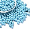 Baking Paint Glass Seed Beads SEED-H003-02D-1