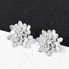 304 Stainless Steel Crystal Rhinestone Stud Earrings EJEW-G423-15P-1