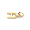 Brass Pave Clear Cubic Zirconia Charms KK-A273-01G-H-2