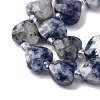 Natural Blue Spot Jasper Beads Strands G-P570-E19-01-4