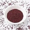 MIYUKI Delica Beads SEED-X0054-DB2119-2