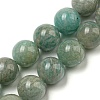 Natural Amazonite Beads Strands G-K068-03-10mm-01-1