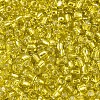 6/0 Glass Seed Beads X2-SEED-A005-4mm-30-3