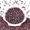 Transparent Inside Colours Glass Seed Beads SEED-T007-19A-02-1