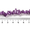 Electroplate Glass Beads Strands GLAA-P062-B06-4