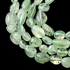 Natural Prehnite Beads Strands G-G018-64-4