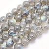 Natural Labradorite Beads Strands LS-G-O166-08-6mm-1