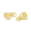 Rack Plating Brass Micro Pave Clear Cubic Zirconia Charms KK-C011-15G-2