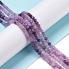 Natural Lepidolite/Purple Mica Stone Beads Strands G-C009-A04-2