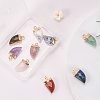 10Pcs 10 Style Natural Gemstone Pendants G-LS0002-14-5
